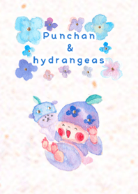 Punchan&hydrangeas
