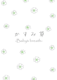 Baby's breath gypsophila flower