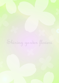 Shining garden flowers