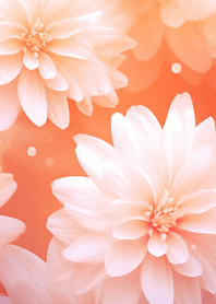 Beautiful Flower Series #12