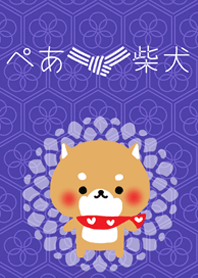 Pair Shiba-inu (man)