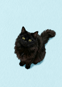 Black Cat Light Blue theme