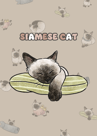 siamesecats4 / tan