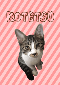 Japanese Tabby Cat KOTETSU Theme