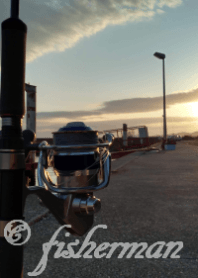 おい！釣り行くぞ！