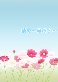 華々~秋桜2~