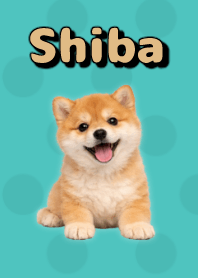 Shiba Inu Plush Theme Green 10