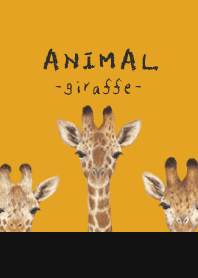 ANIMAL - Giraffe - PUMPKIN