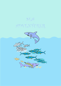Sea Holiday Adventure