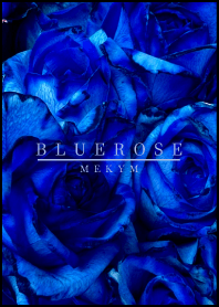 BLUE ROSE-MEKYM- 23