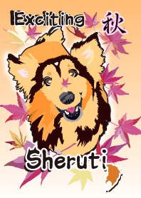 Exciting Sheltie Autumn.