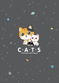 Cats Universe Graphite