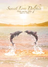 Sunset Love Dolphin