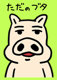 ordinary pig