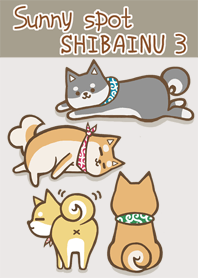 陽光下的柴犬 3