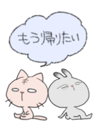 目付きの悪いうさぎと、目の死んでるねこ