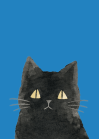 A unique cat05 blue