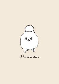 Simple Pomeranian Beige Color