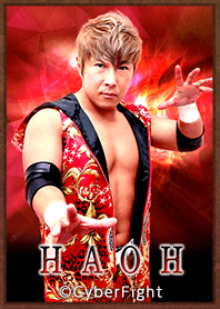 PRO WRESTLING NOAH HAOH