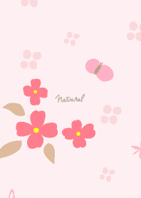 Butterflies are a symbol of good luck17J