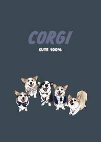 corgicorgi4 - indigo