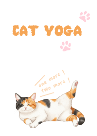 Cat doing yoga16