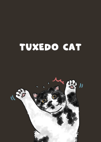 tuxedocat2 - chocolate