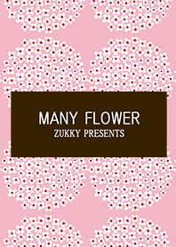 MANY FLOWER13