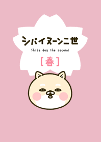 Shiba dog the second in Spring (Theme)