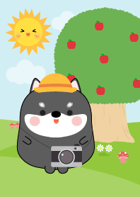 Fat Black Shiba Inu in Forest Theme