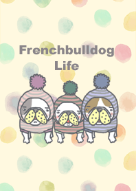 Frenchbulldog Life 2