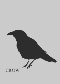 Crow black bird