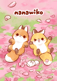 雙子狐娜娜葳葳◇花見◇
