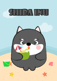 Summer Fat Black Shiba Inu theme