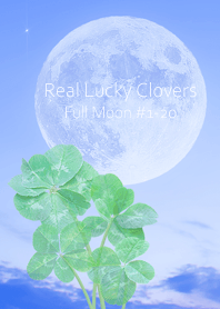 Real Lucky Clovers Full Moon #1-20