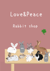 人氣兔子專門店 Open【Rabbit Shop】