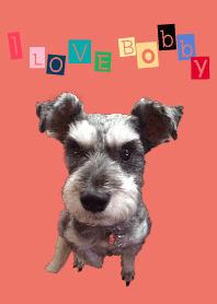 bobby