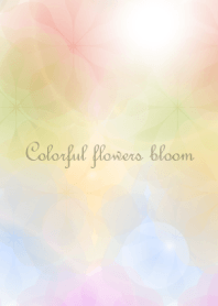 Colorful flowers bloom