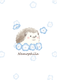 Hedgehog and Nemophila -white- 2