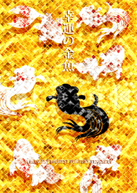 最強最高金運風水 幸運の金魚 2