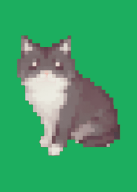 * Black Cat Pixel Art Theme  Green 01