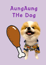 AungAung THe Dog Theme