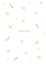 MIMOSA*Spring