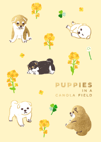 菜の花畑の子犬たち