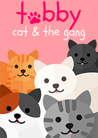 เจ้าแมวน้อย แท็บบี (Tabby cat)