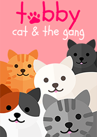 Tabby cat & the gang