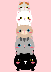 Cute Face Cat Theme