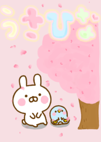 Rabbit Usahina friendly spring