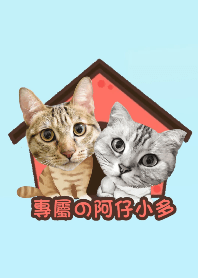 Exclusive Azai Xiaoduo