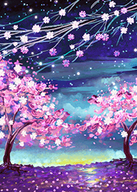 Beautiful night cherry blossoms#1584